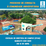Processo de Consulta a comunidade Acadêmica